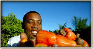 tropical fruit smoothie