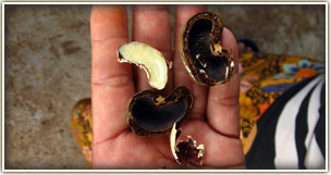 cooking holiday in thailand