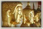 See Buddhas in Bangkok