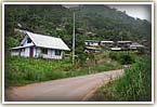 Thai village homestay