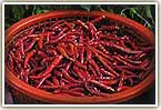 spicy thai chilli